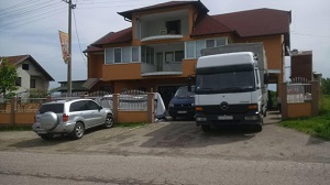 drvo_mig_2000_loznica